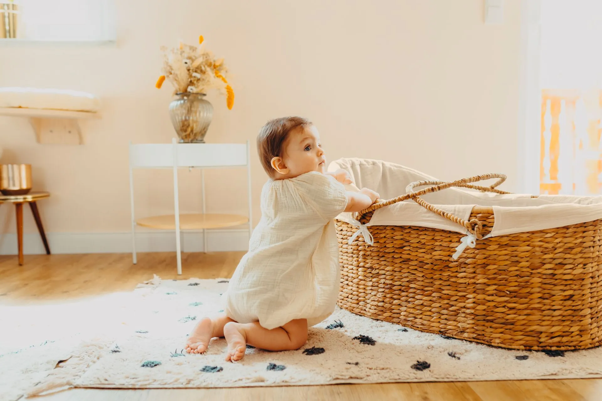 Moses Basket